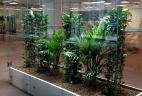 AUDE Plantes vitrine végétale RIE PariSquare