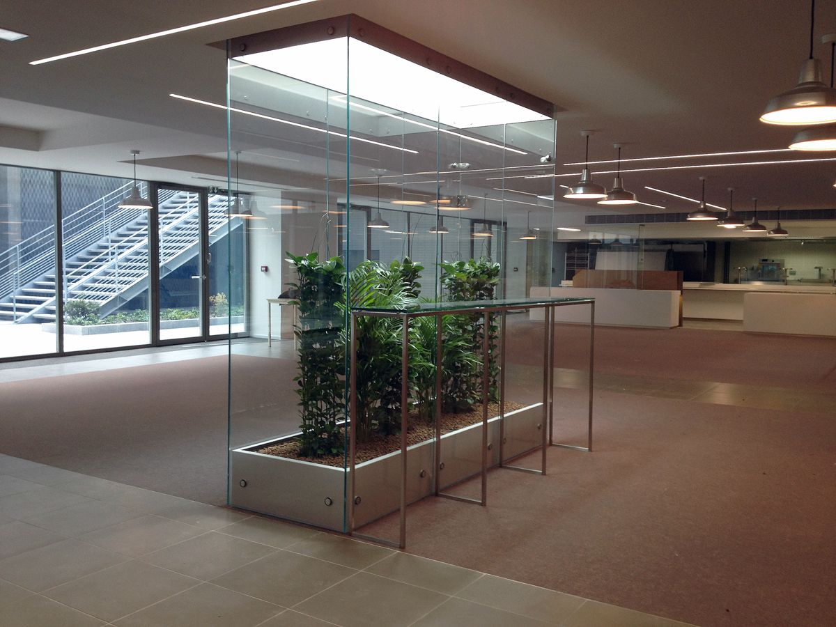 Vitrines végétales plantées d’arecas dans un restaurant d’entreprise à Paris