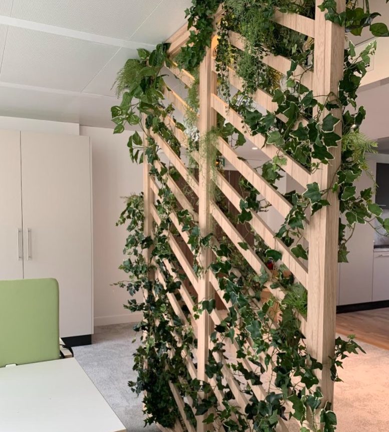 Claustra en bois habillé de lierre dans un espace de bureaux