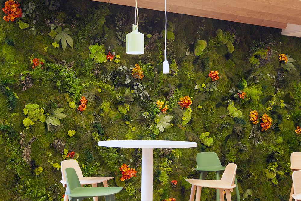 Mur de végétaux stabilisés dans un espace café de bureaux