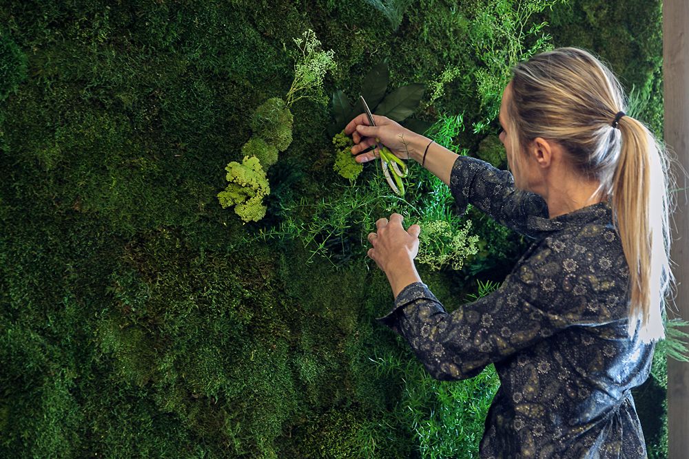 Pose d’un mur végétal stabilisé sur mesure dans un espace détente de bureaux
