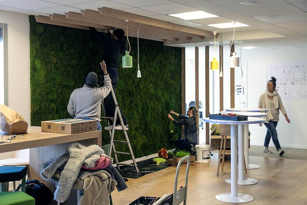 Paysagistes posant un mur végétal stabilisé dans un espace détente