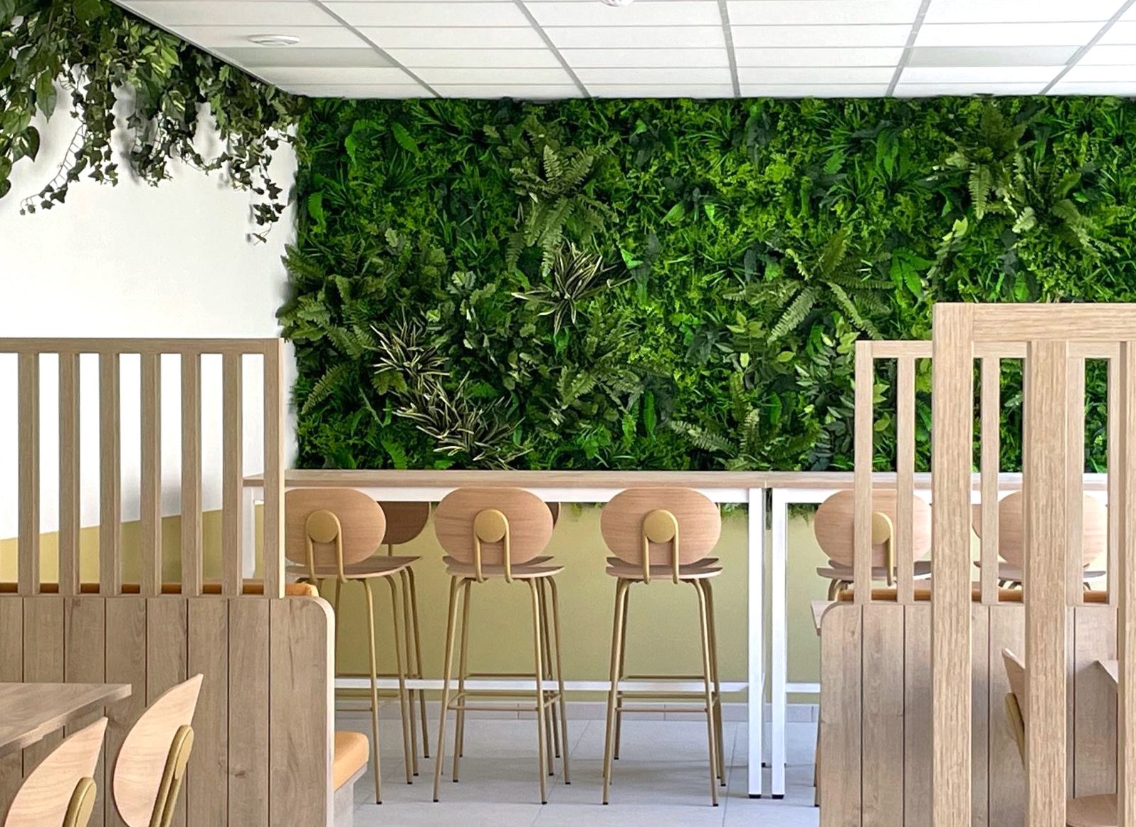 Grand mur végétal de fougères et de feuillages au-dessus du comptoir d’une cafétéria d’entreprise, tabourets et claustras en bois