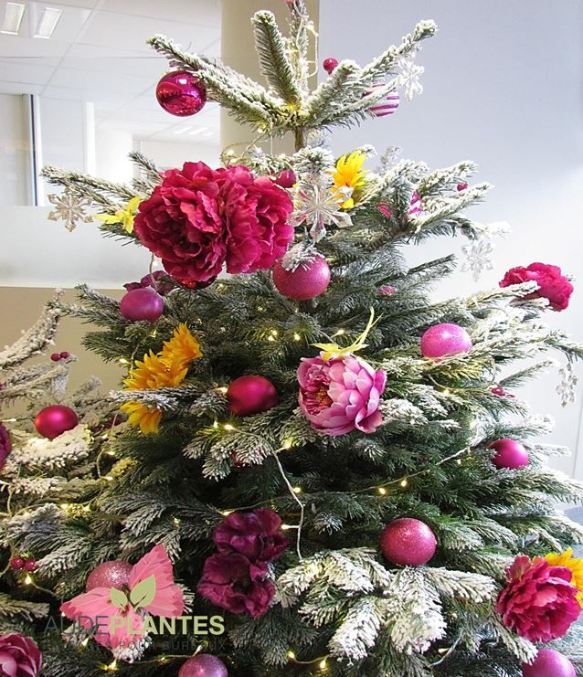 Sapin fleuri, Accueil