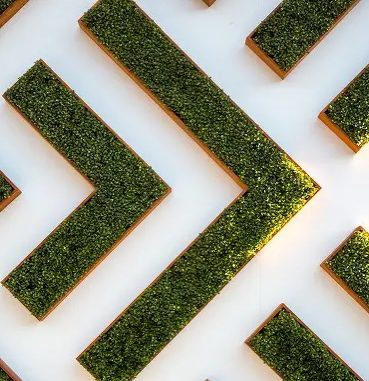 Chevrons de mousse stabilisée encadrés de bois sur un mur blanc